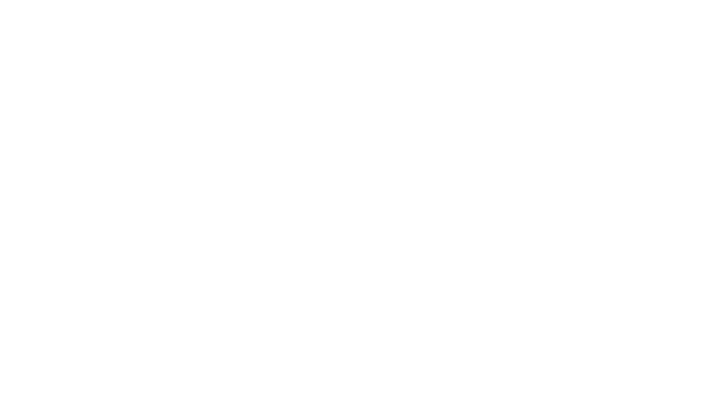 Ennio Ferrari SA